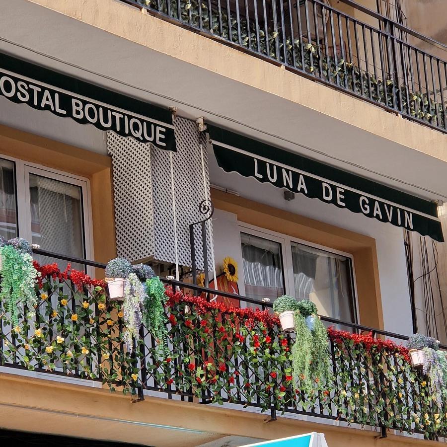 Hostal Boutique Luna De Gavin 库列拉 外观 照片