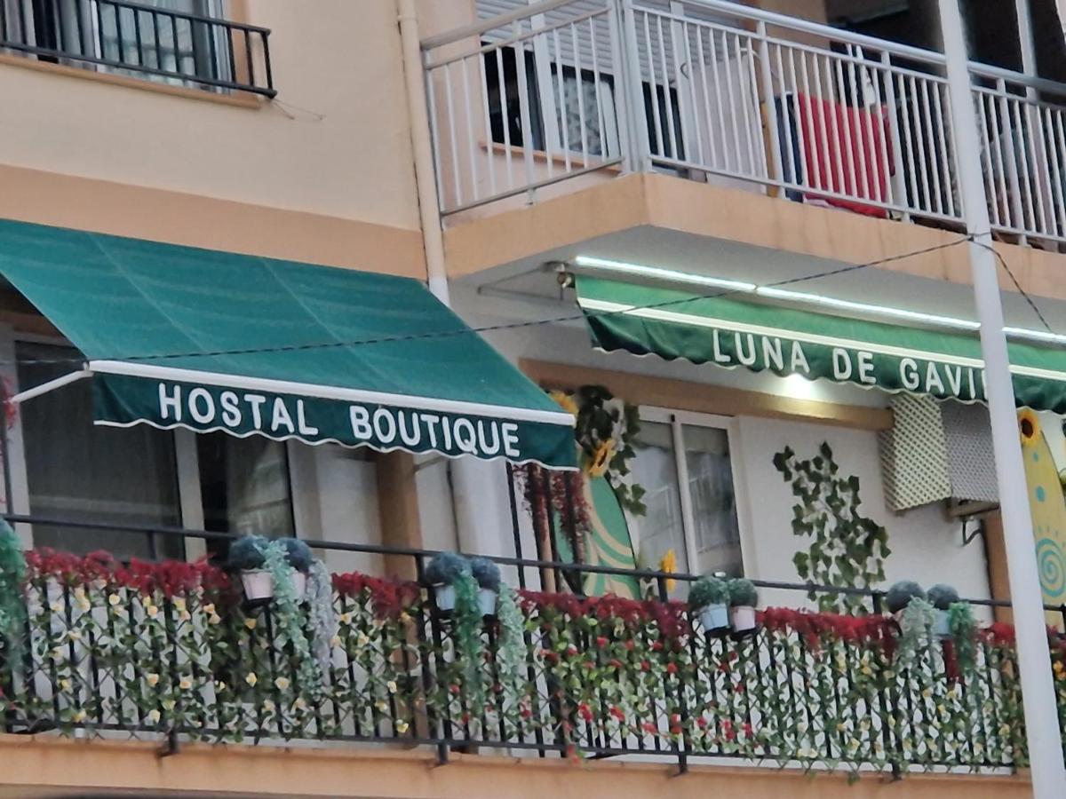 Hostal Boutique Luna De Gavin 库列拉 外观 照片