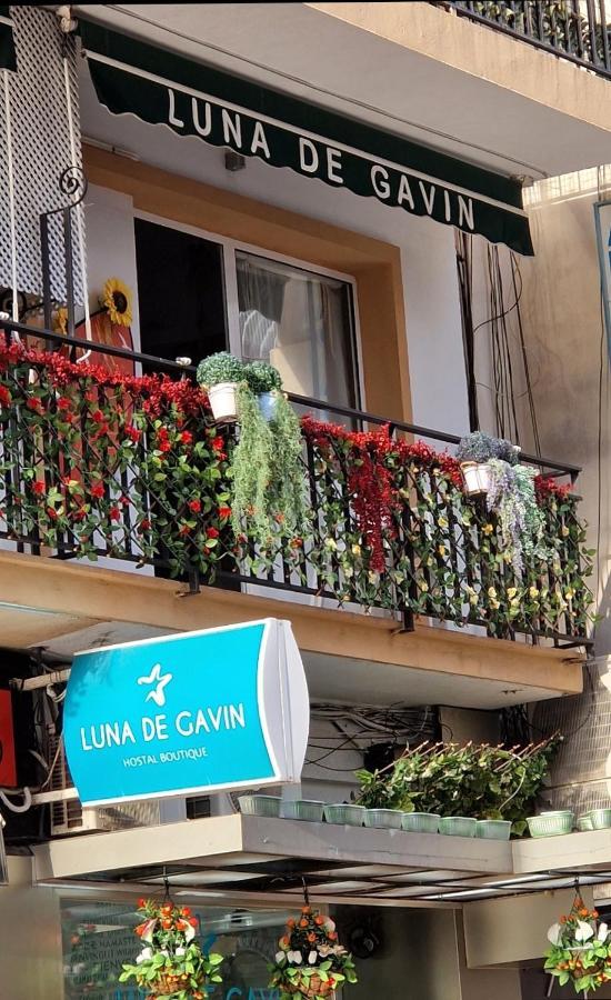 Hostal Boutique Luna De Gavin 库列拉 外观 照片