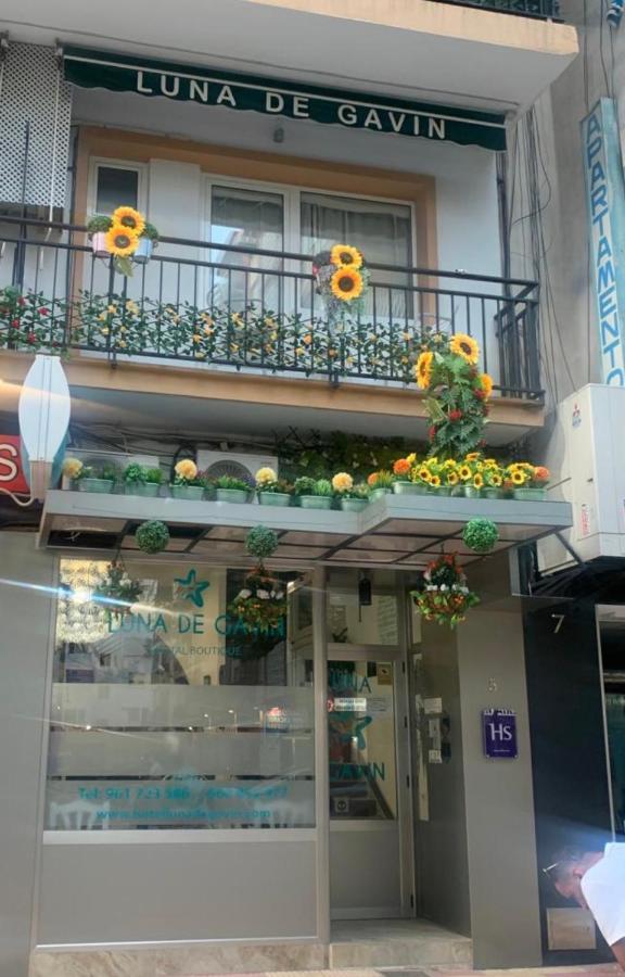 Hostal Boutique Luna De Gavin 库列拉 外观 照片