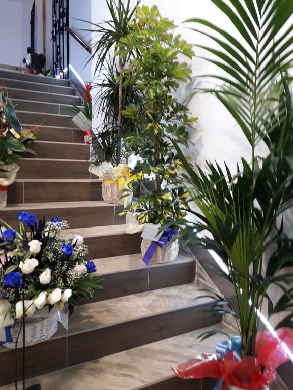 Hostal Boutique Luna De Gavin 库列拉 外观 照片