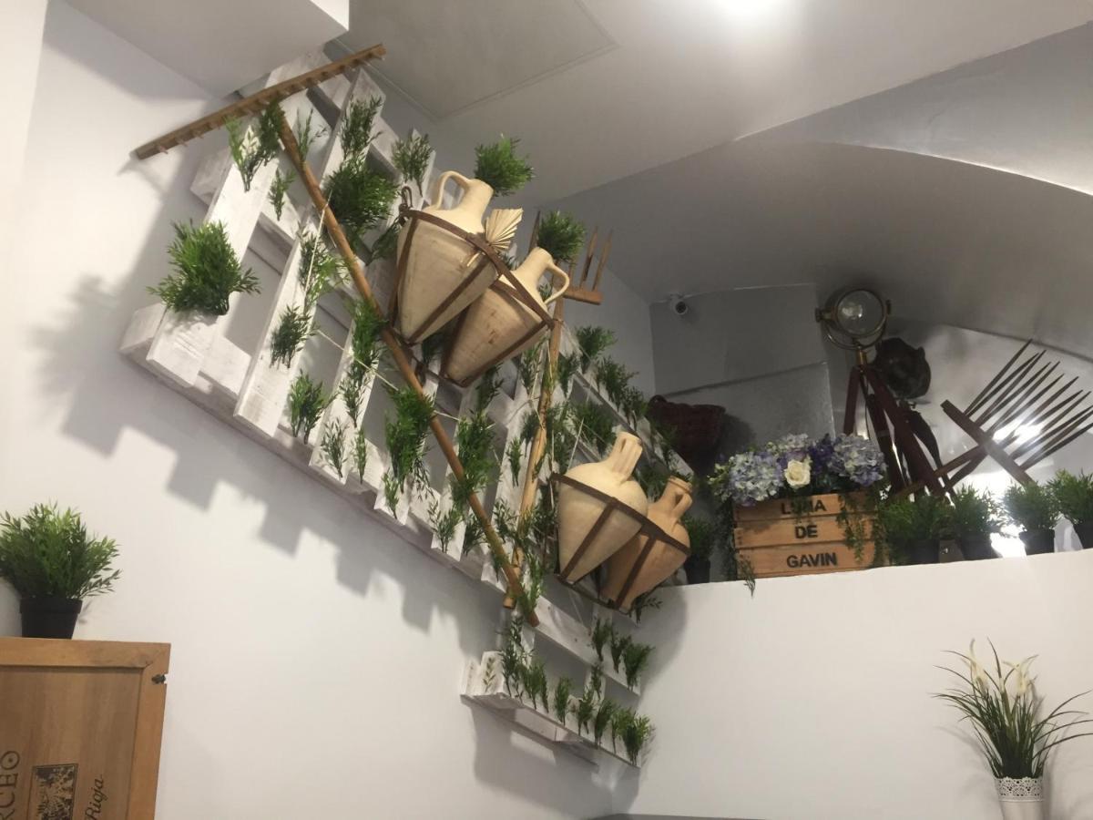 Hostal Boutique Luna De Gavin 库列拉 外观 照片